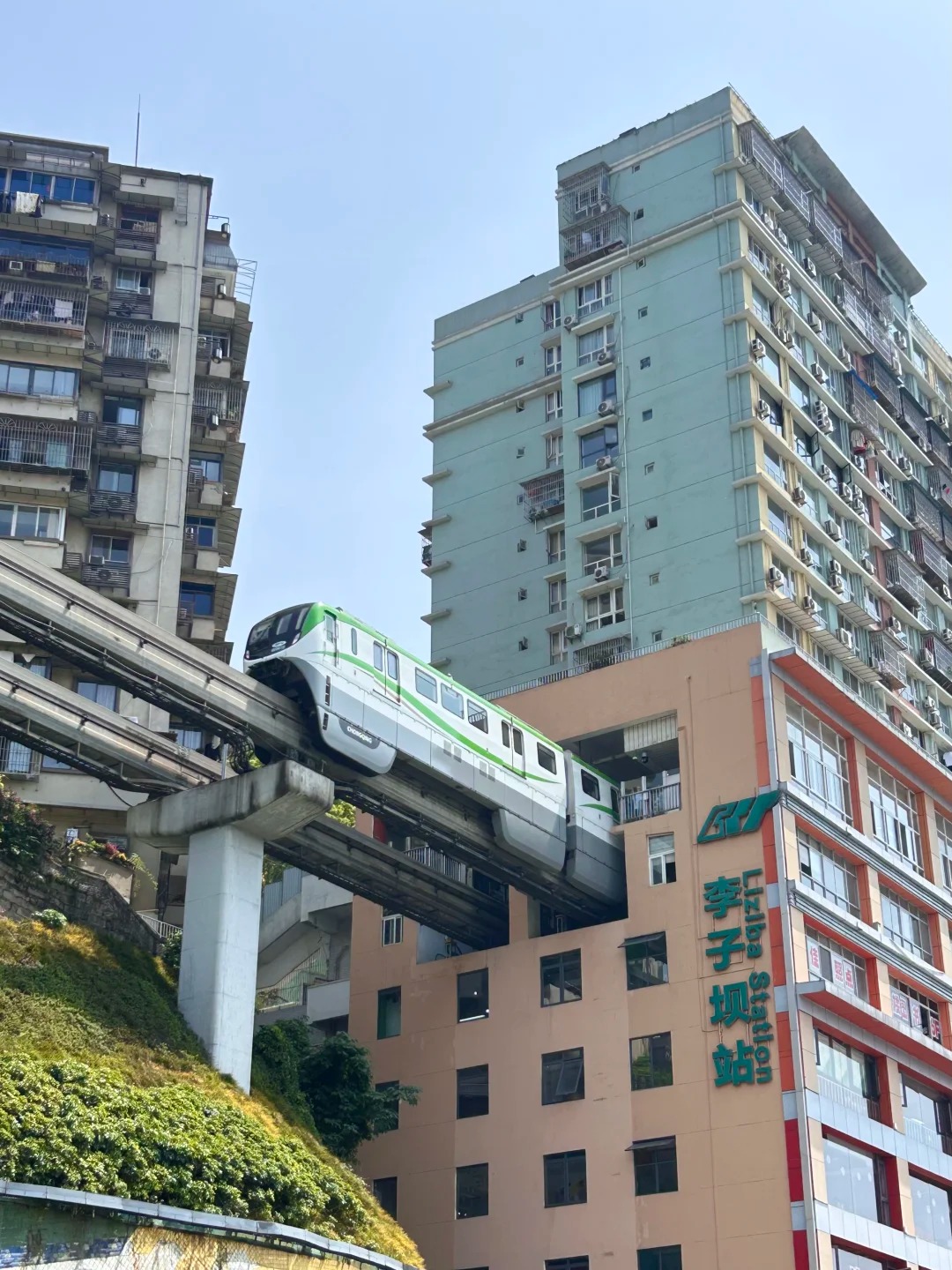 遊客旅遊風采
